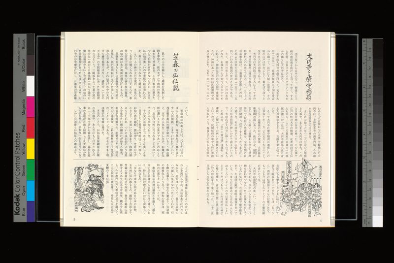 大円寺と瘡守稲荷