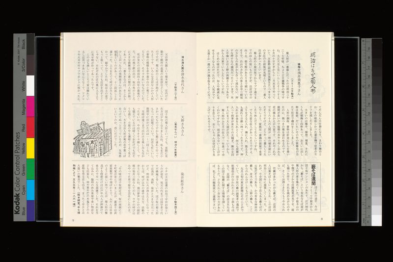 明治はるか菊人形−植梅・浅井美恵子さん、清水清大園・清水喜代さん、菊見せんべい・天野きみさん、染井鉱作さん
