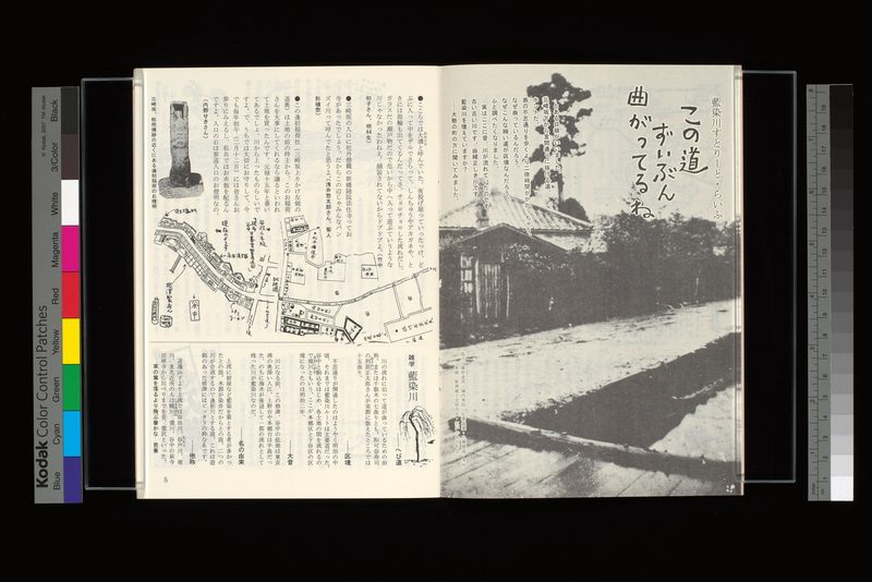 藍染川ストリートライフ この道ずいぶん曲がってるね