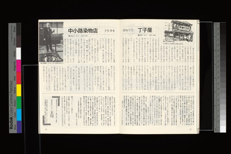 橋づくし-上流から