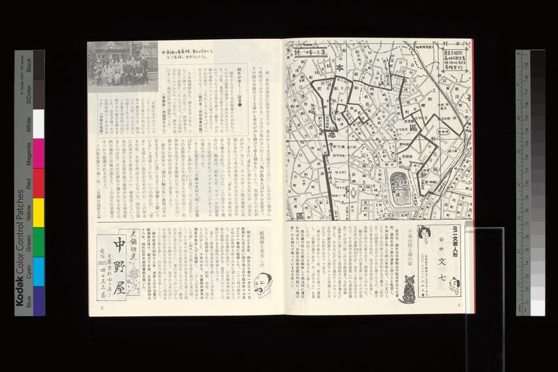 千朶山房と猫の家