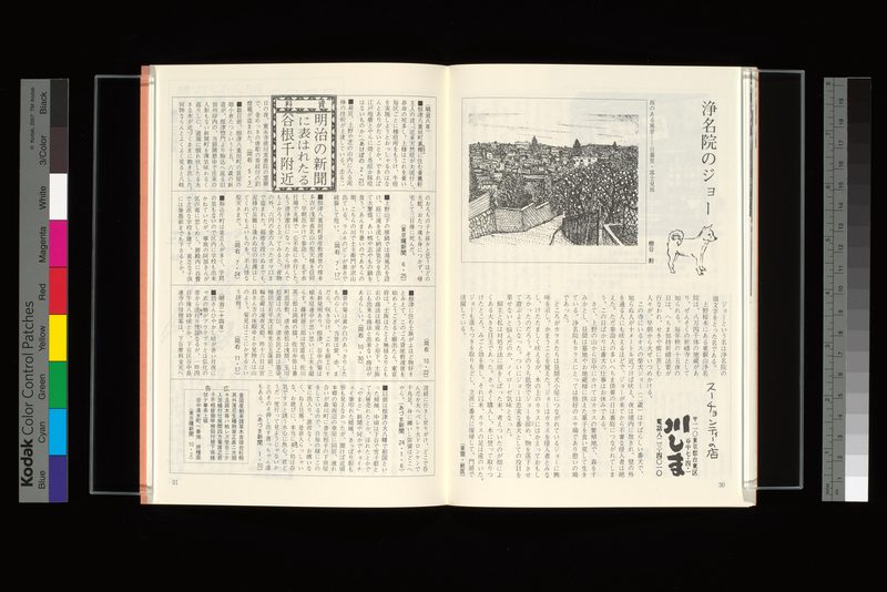 浄名院のジョー