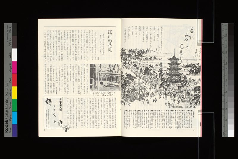 春は谷中の花見かな