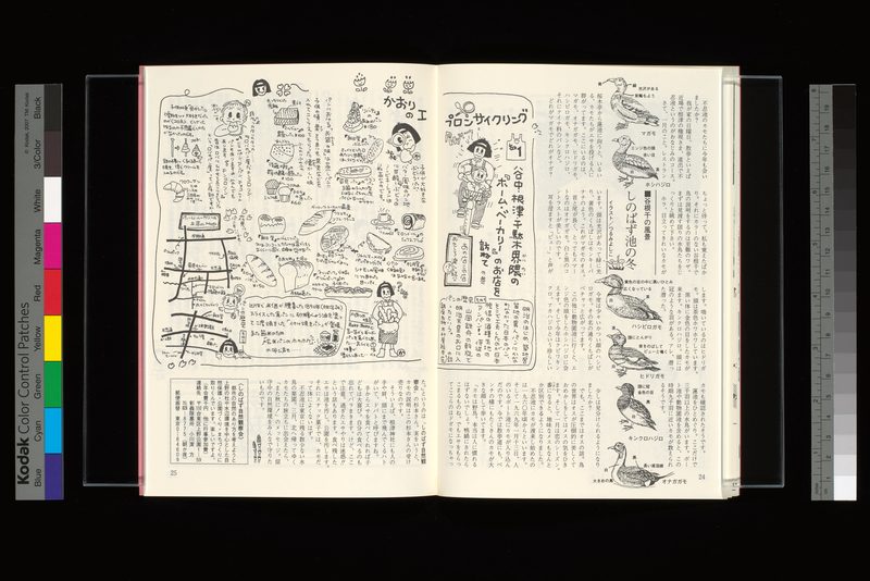 谷根千の風景＝しのばず池の冬