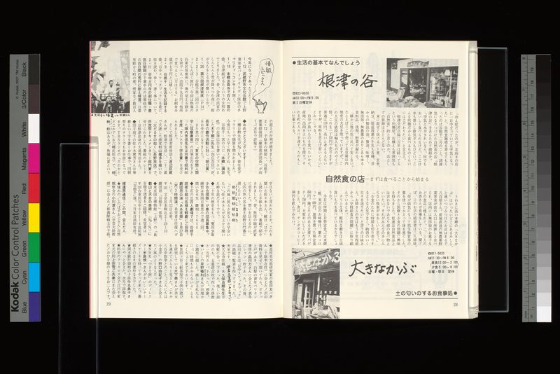 自然食の店−まずは食べることから始める＝根津の谷/大きなかぶ