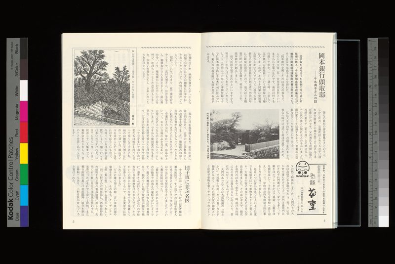 岡本銀行頭取邸−牛丸典子さんの話