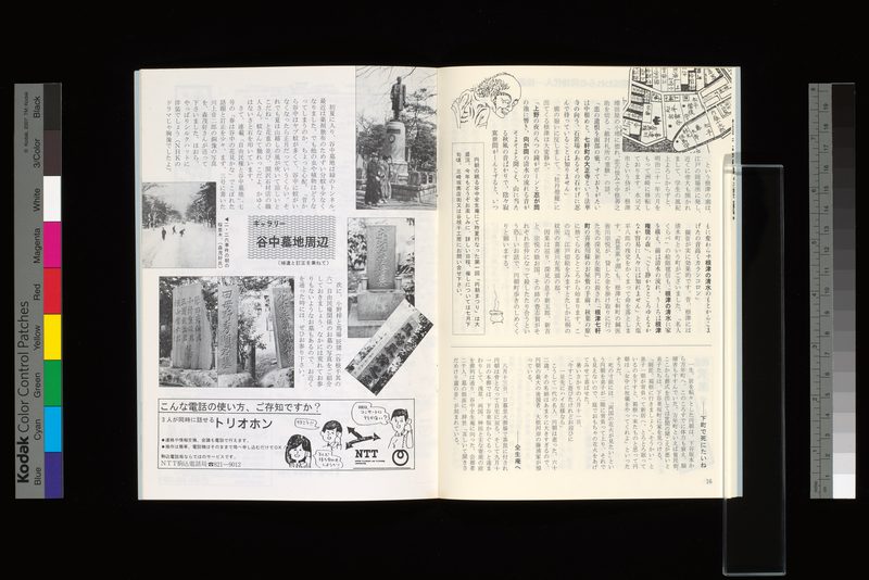 ギャラリー・谷中墓地周辺（補遺と訂正を兼ねて）