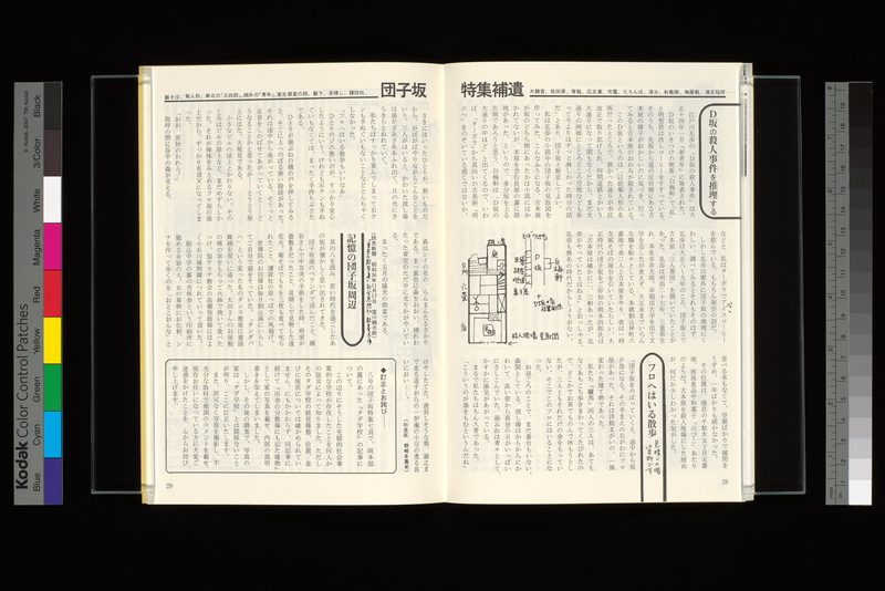 団子坂特集補遺