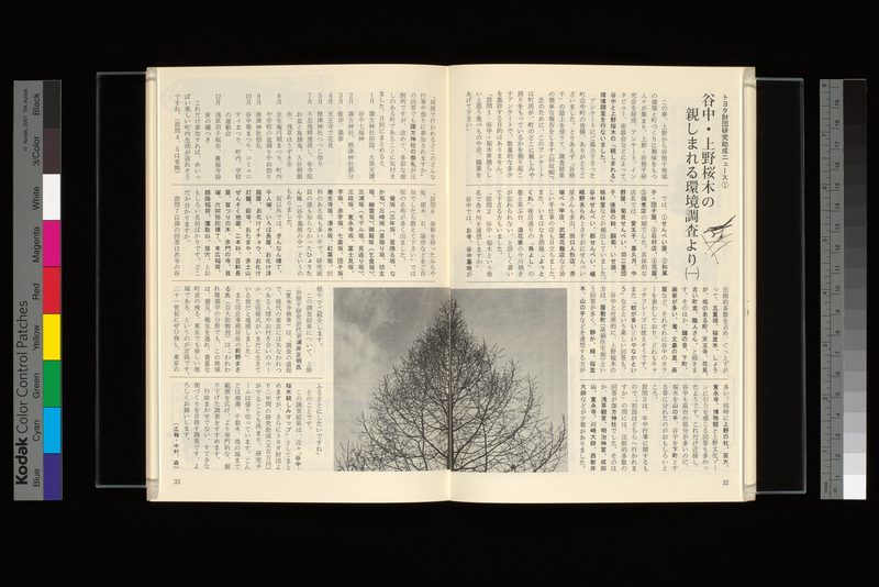 トヨタ財団研究助成ニュース①谷中・上野桜木の親しまれる環境調査より（一）
