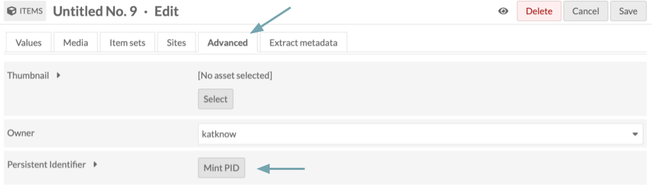 Minting PIDs via Edit Item Advanced tab