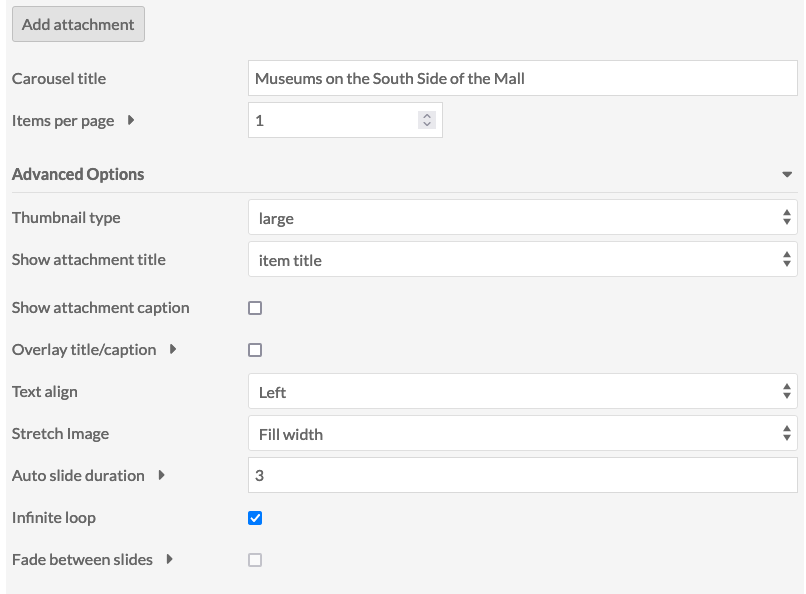 An item carousel block detail image focused on the advanced options settings.