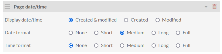 Page date and time settings box with radio buttons.